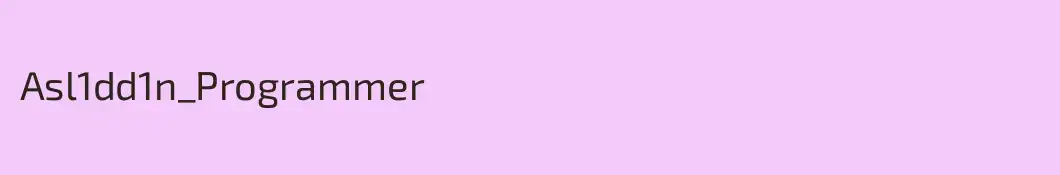 Asl1dd1n_Programmer 
